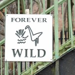 Inwood Hill Park