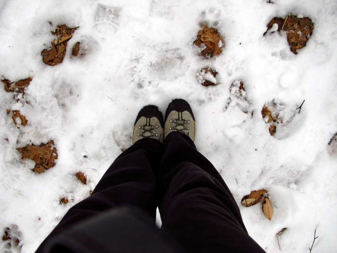 hiking boots in the snow